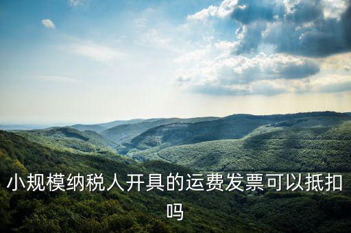 什么樣的運費票可以抵，運輸費增值稅都能用什么票抵扣