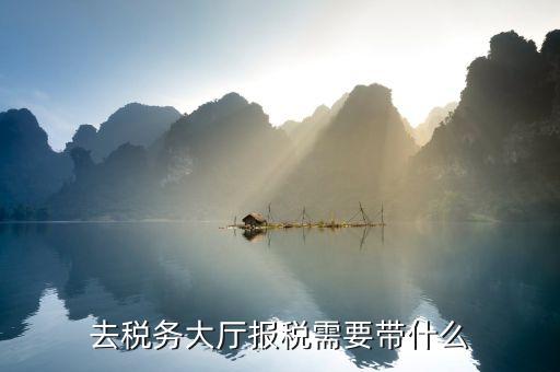 去地稅大廳解決欠稅問(wèn)題需帶什么資料及文件，去稅務(wù)大廳查詢公司欠的增值稅需帶啥資料