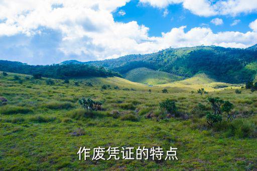 什么樣的憑證可作廢，作廢憑證的特點(diǎn)
