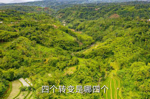 四個轉(zhuǎn)變是什么   稅收，詳細介紹一下四種流轉(zhuǎn)稅