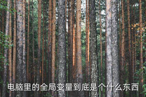 全局是什么意思，什么是指導(dǎo)全局工作決定全局命運(yùn)的方針方式和計劃