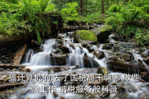 自動(dòng)化進(jìn)國(guó)稅局做什么，國(guó)稅是做什么工作的