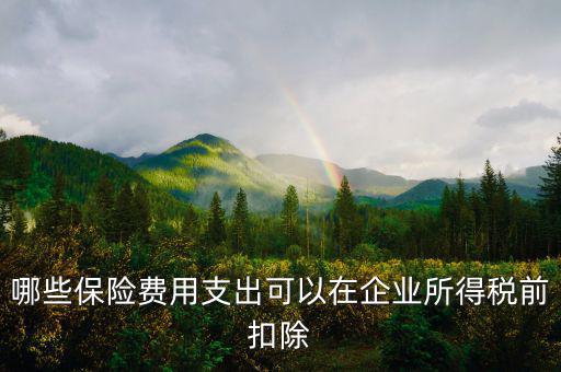 什么保險可以稅前扣除，哪些保險費用支出可以在企業(yè)所得稅前扣除