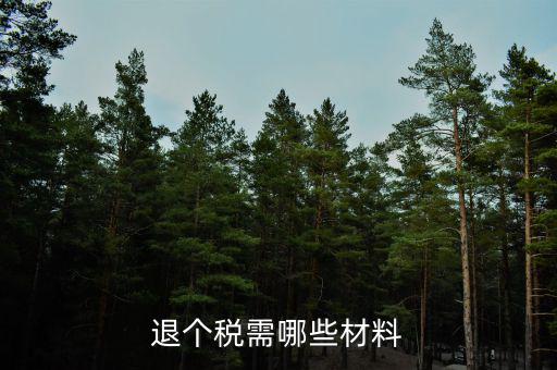 退抵稅需要什么，退抵稅款申請(qǐng)需要什么資料