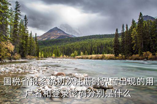 網(wǎng)上辦稅登入名是什么，稅務(wù)用戶名是什么啊