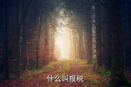 云廳報稅是什么，手機(jī)報稅需要使用什么系統(tǒng)呢