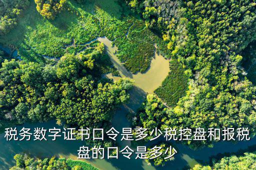 稅務ca口令是什么，ca口令是什么