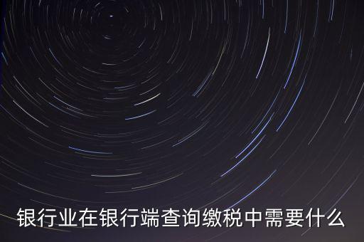 銀行端查詢繳稅要帶些什么，銀行業(yè)在銀行端查詢繳稅中需要什么