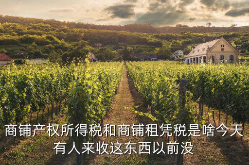 什么是商鋪?zhàn)赓U稅，商鋪出租應(yīng)交哪些稅