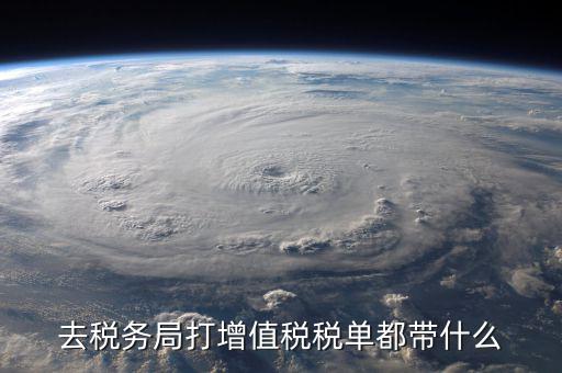國(guó)稅局打印稅單要什么，到稅務(wù)打印稅單需要什么資料
