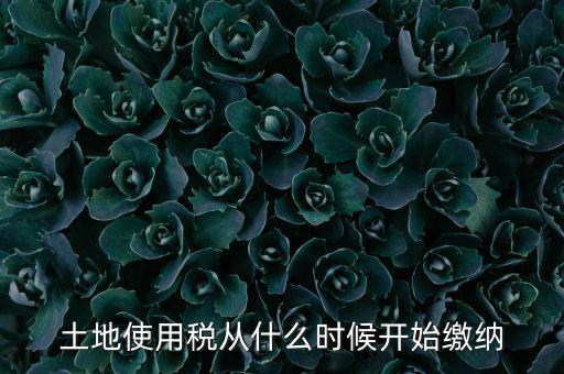 土地使用稅什么時(shí)候開(kāi)始交，什么時(shí)候開(kāi)始繳納房產(chǎn)稅和土地使用稅是否都要繳納