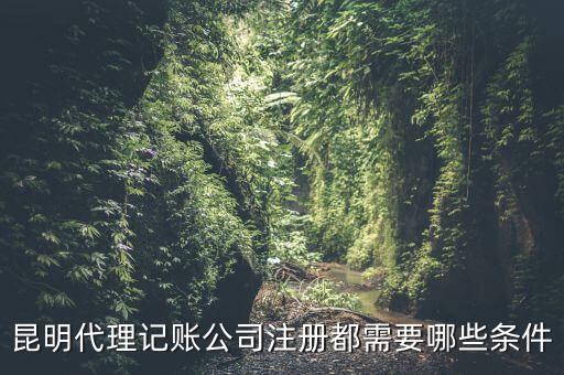 昆明報(bào)稅要什么條件，httpswwwkmgsgovcn 我是一個(gè)新客戶要怎樣才能進(jìn)入昆明國(guó)稅局