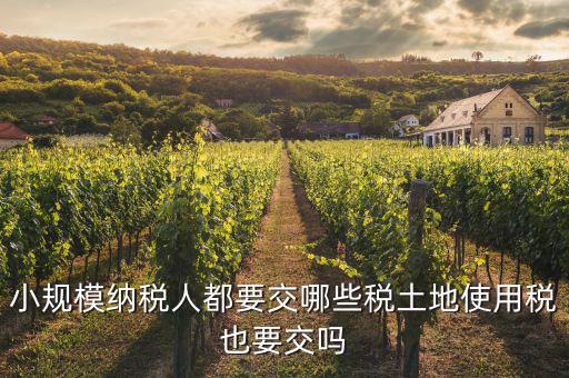 小規(guī)模納稅人交什么稅，小規(guī)模納稅人要交哪些稅