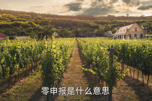 免于零申報(bào)什么意思，免于零申報(bào)是什么意思