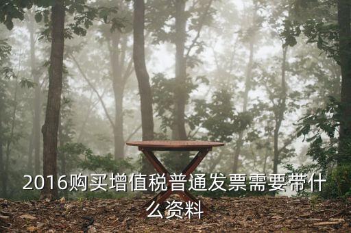2016領(lǐng)發(fā)票需要帶什么，2016購(gòu)買(mǎi)增值稅普通發(fā)票需要帶什么資料