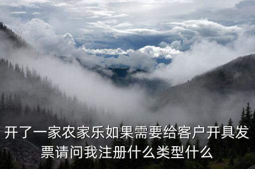 我要是以開(kāi)普票為主 注冊(cè)什么性質(zhì)的公司好，開(kāi)了一家農(nóng)家樂(lè)如果需要給客戶開(kāi)具發(fā)票請(qǐng)問(wèn)我注冊(cè)什么類型什么