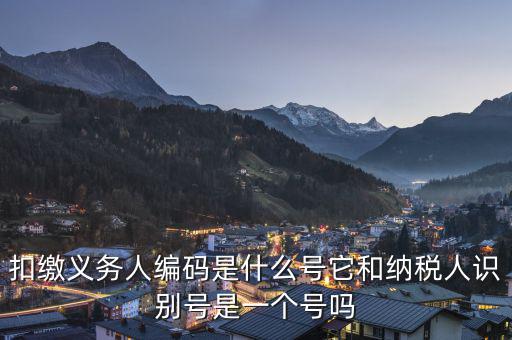 易稅門(mén)戶(hù)扣繳義務(wù)人編碼是什么，易稅門(mén)戶(hù)中扣繳義務(wù)人編碼指什么