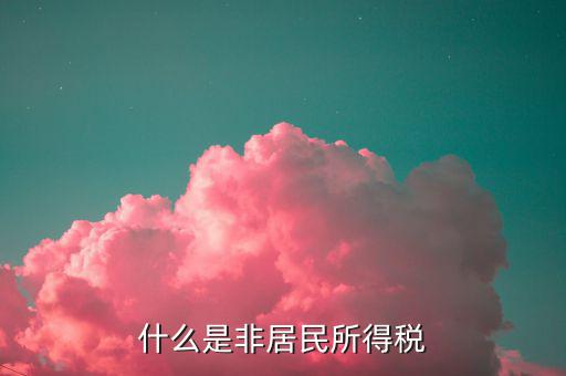 什么是非居民所得稅申報(bào)，什么是非居民所得稅