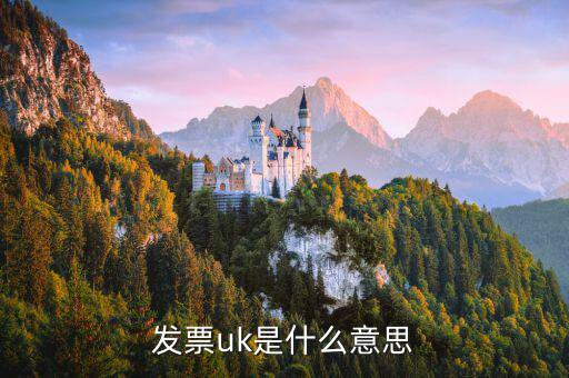 發(fā)票中u是什么意思，在發(fā)票中UM EA 和UP是什么意思