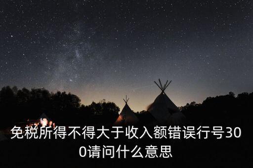 免稅所得不得大于收入額錯(cuò)誤行號(hào)300請(qǐng)問(wèn)什么意思