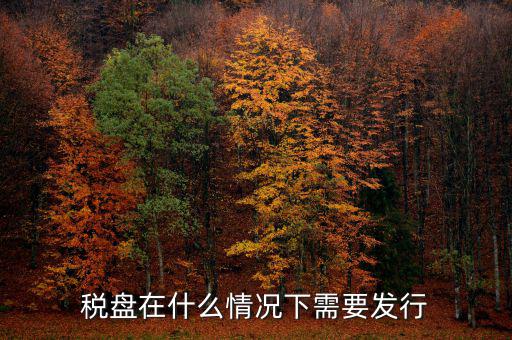 稅控盤變更發(fā)行是什么意思，更換稅控盤需要什么