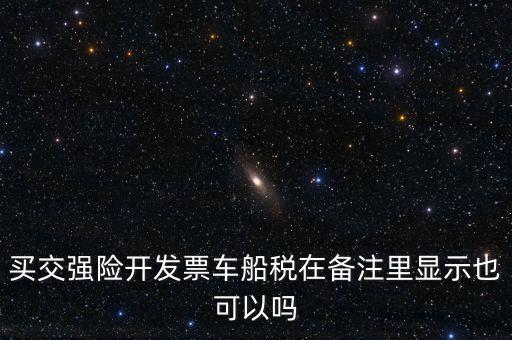 買交強(qiáng)險(xiǎn)開(kāi)發(fā)票車船稅在備注里顯示也可以嗎