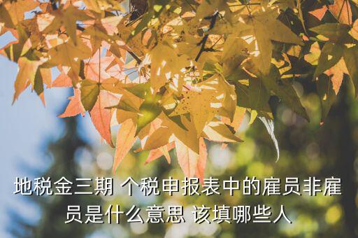 雇員納稅人是什么意思，地稅金三期 個(gè)稅申報(bào)表中的雇員非雇員是什么意思 該填哪些人
