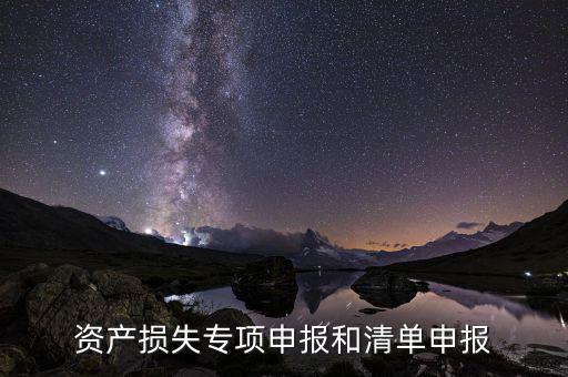 資產損失專項申報和清單申報