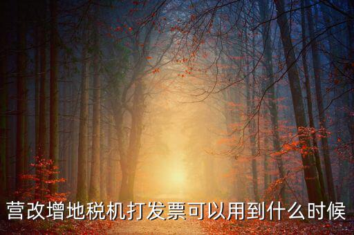 地稅發(fā)票能用到什么時候，納稅人已領取地稅機關印制的發(fā)票可以使用到什么時候
