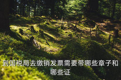 繳銷出口商品統(tǒng)一發(fā)票要蓋什么章，到國稅局去繳銷發(fā)票需要帶哪些章子和哪些證