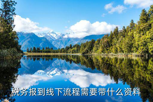 南京稅務(wù)報(bào)道需要什么資料，去稅務(wù)局報(bào)稅需要帶什么資料