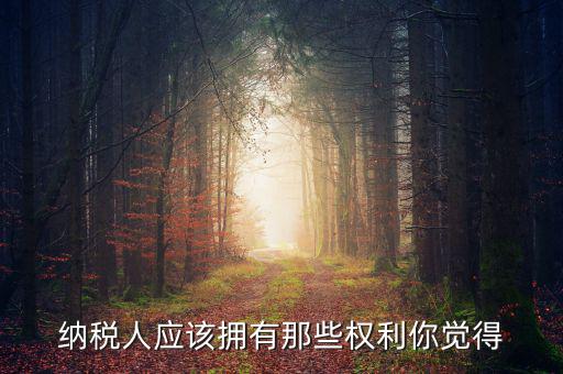 納稅人的權益有什么，納稅人應該擁有那些權利你覺得