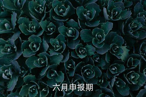 6月申報(bào)期是什么意思，個(gè)人所得稅申報(bào)期是每月15號(hào)嗎