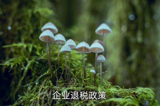 什么是企業(yè)所得稅退稅，企業(yè)所得稅可以退稅嗎