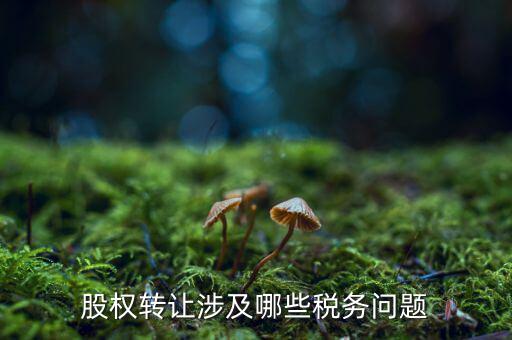 股份轉(zhuǎn)讓都涉及什么稅，個人股權(quán)轉(zhuǎn)讓涉及哪些稅
