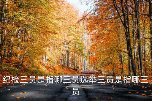 稅務(wù)中的三員是什么意思，納稅人實名采集法人實名采集什么意思納稅實名制