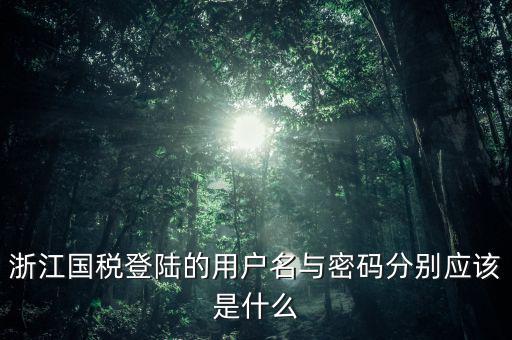 浙江國(guó)稅密碼是什么意思，浙江地稅開(kāi)票軟件中數(shù)據(jù)庫(kù)密碼是多少