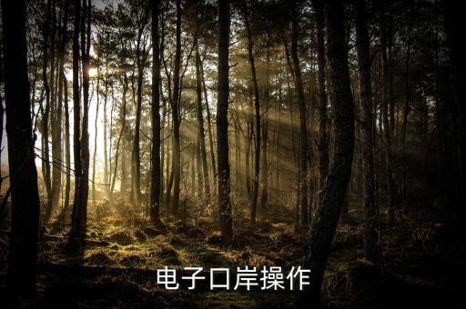 電子口岸里面要操作什么，電子口岸操作