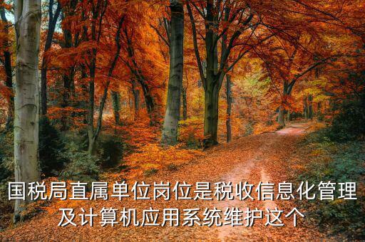 稅收信息化崗位做什么，信息化在稅務(wù)管理中有什么作用