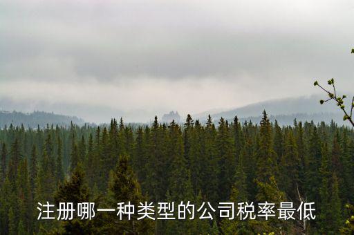 蘇州開什么樣的公司稅率最低，注冊什么類型的公司交稅最少