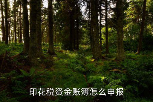 賬簿印花稅申報(bào)選什么，賬簿印花稅如何申報(bào)
