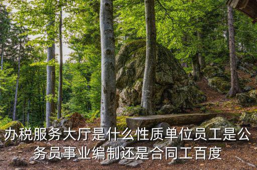 什么是辦稅服務(wù)大廳，辦稅服務(wù)廳的基本服務(wù)包括哪些