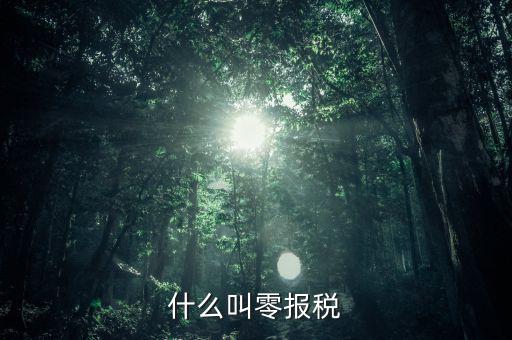 0報(bào)稅是什么意思，稅務(wù)上所謂的零申報(bào)是什么