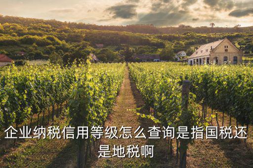 什么等級(jí)的公司報(bào)什么稅如何查，納稅等級(jí)查詢?cè)谀睦锊?/></a></span><span id=