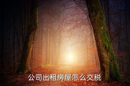 企業(yè)承租房屋交什么稅，公司租賃房屋需要交哪些稅