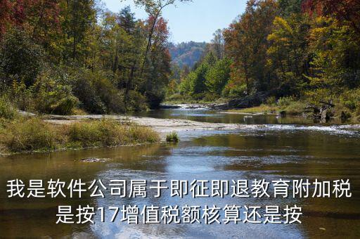 軟件公司交什么稅，軟件企業(yè)增值稅即征即退指的是什么