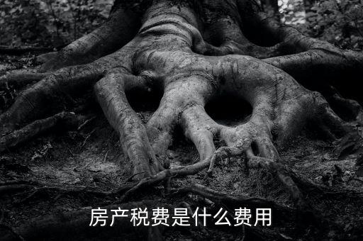 什么是房土兩稅，什么是城鎮(zhèn)土地使用稅