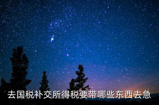 去國稅補繳增值稅要帶什么，增值稅零申報逾期申報了48天 到國稅補申報需要準(zhǔn)備什么資料 帶什么