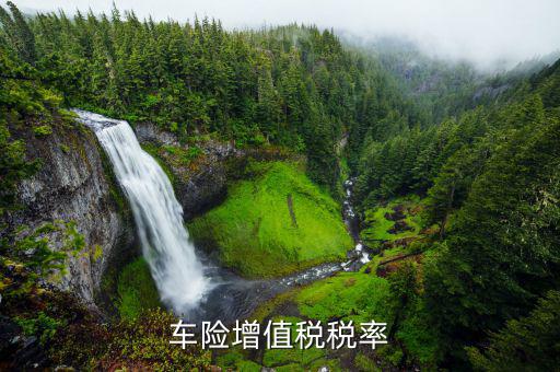 車輛保險增值稅是什么，保險公司在計算汽車商業(yè)險時為什么有增值稅
