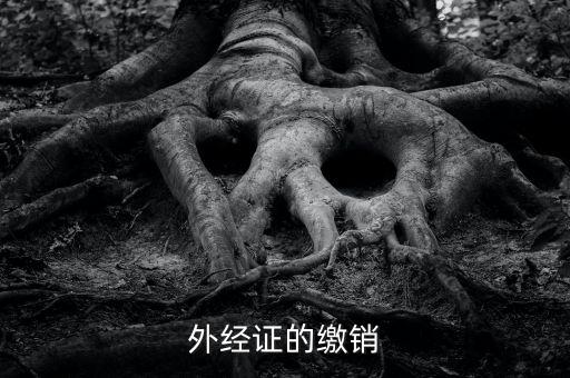 廈門繳銷外經(jīng)證國稅什么資料，廈門國稅需銷項合同是什么